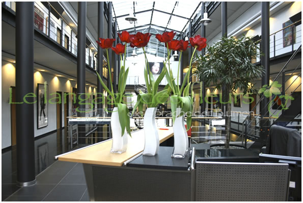 Bürodekoration, rpte franz. Tulpen